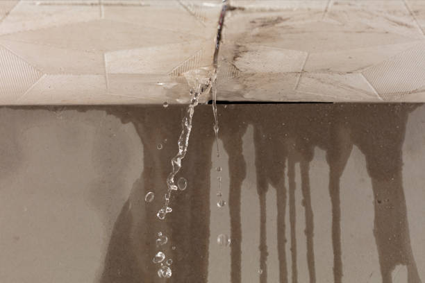 Professional Sewage Cleanup technician working in Fairplay, CO